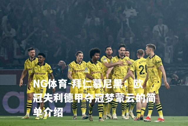 拜仁慕尼黑：欧冠失利德甲夺冠梦蒙云的简单介绍