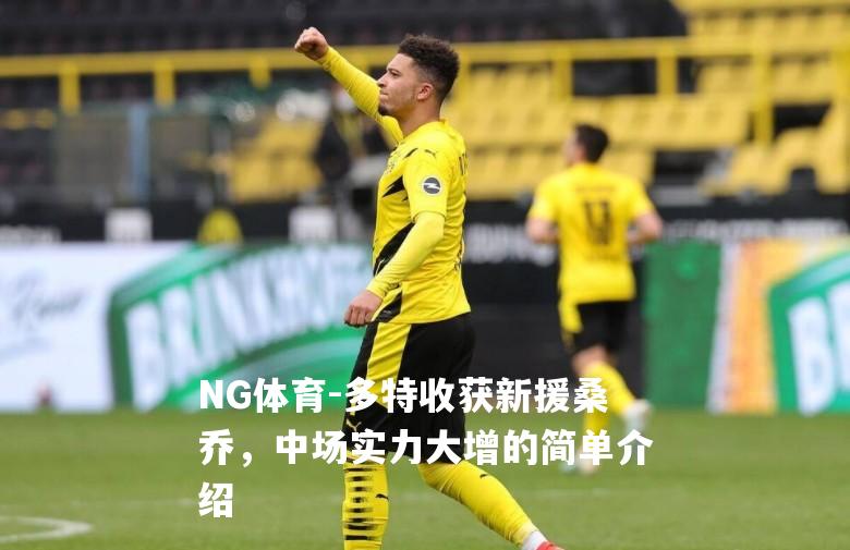 多特收获新援桑乔，中场实力大增的简单介绍