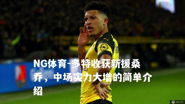 多特收获新援桑乔，中场实力大增的简单介绍