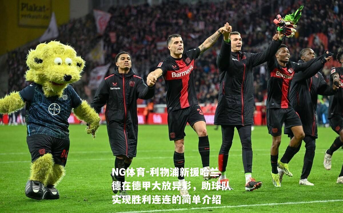 利物浦新援哈兰德在德甲大放异彩，助球队实现胜利连连的简单介绍