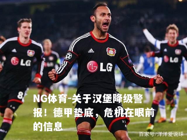 关于汉堡降级警报！德甲垫底，危机在眼前的信息