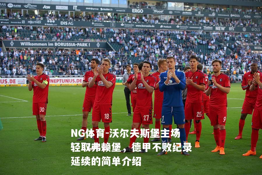 沃尔夫斯堡主场轻取弗赖堡，德甲不败纪录延续的简单介绍