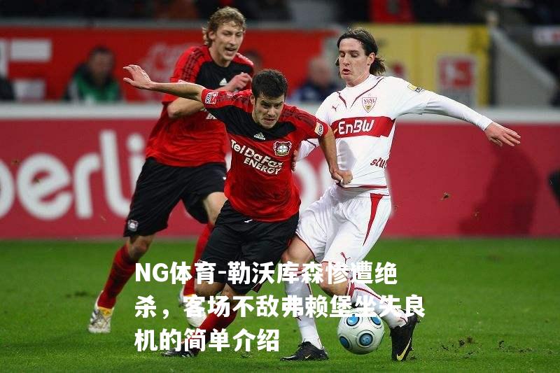 勒沃库森惨遭绝杀，客场不敌弗赖堡坐失良机的简单介绍
