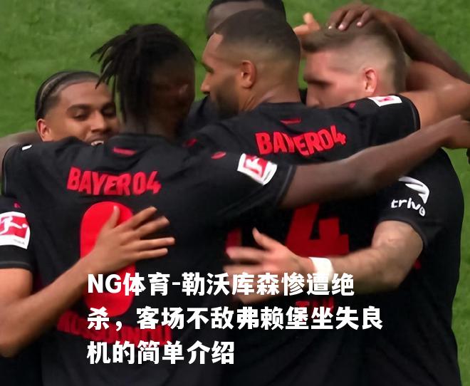 勒沃库森惨遭绝杀，客场不敌弗赖堡坐失良机的简单介绍