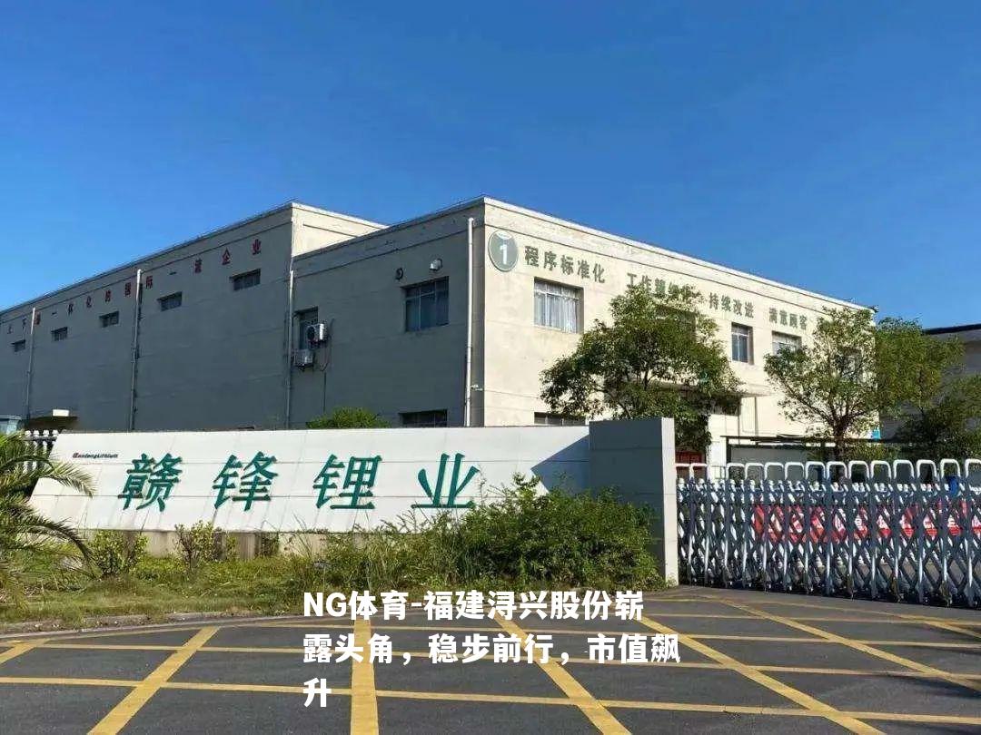 福建浔兴股份崭露头角，稳步前行，市值飙升