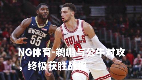 鹈鹕与公牛对攻，终极获胜战报