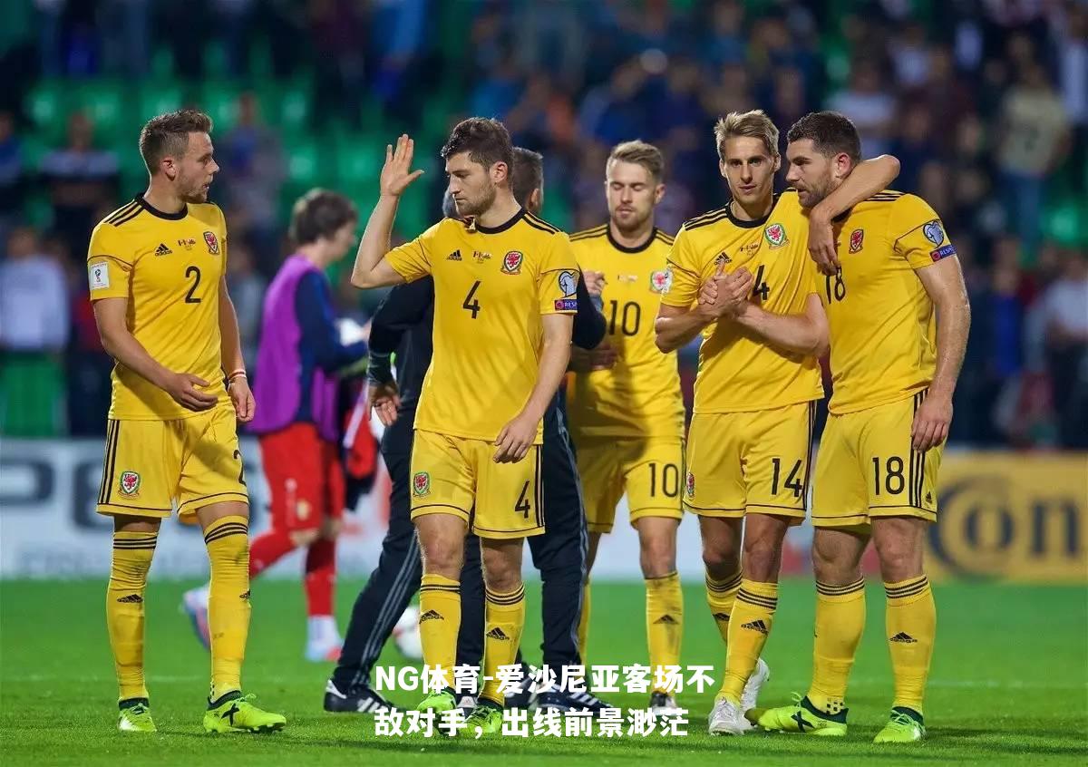 爱沙尼亚客场不敌对手，出线前景渺茫