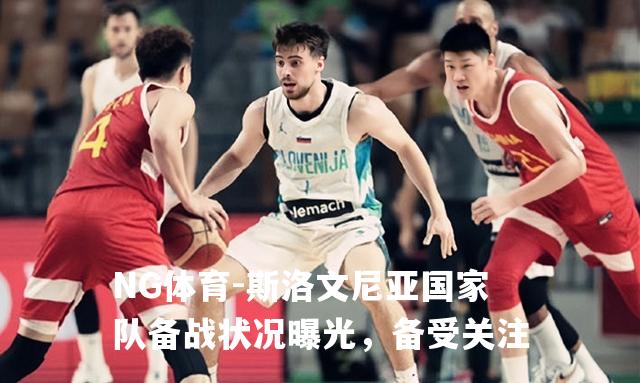 斯洛文尼亚国家队备战状况曝光，备受关注