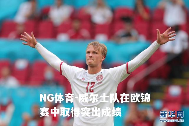 威尔士队在欧锦赛中取得突出成绩