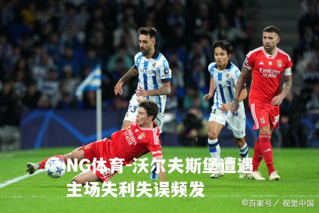 沃尔夫斯堡遭遇主场失利失误频发