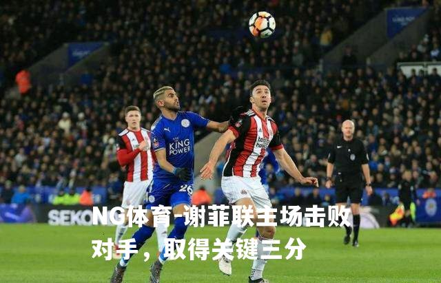 谢菲联主场击败对手，取得关键三分