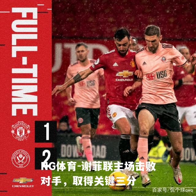谢菲联主场击败对手，取得关键三分