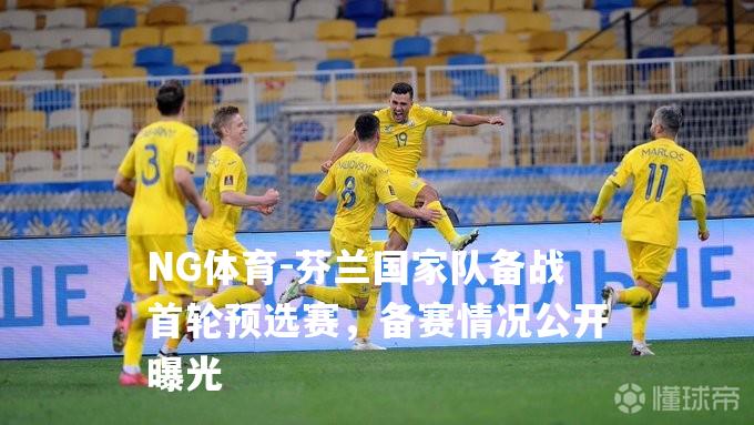 芬兰国家队备战首轮预选赛，备赛情况公开曝光