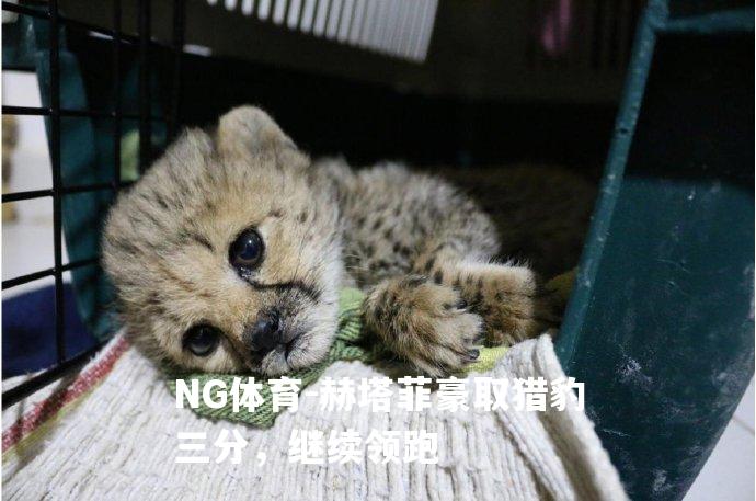 赫塔菲豪取猎豹三分，继续领跑