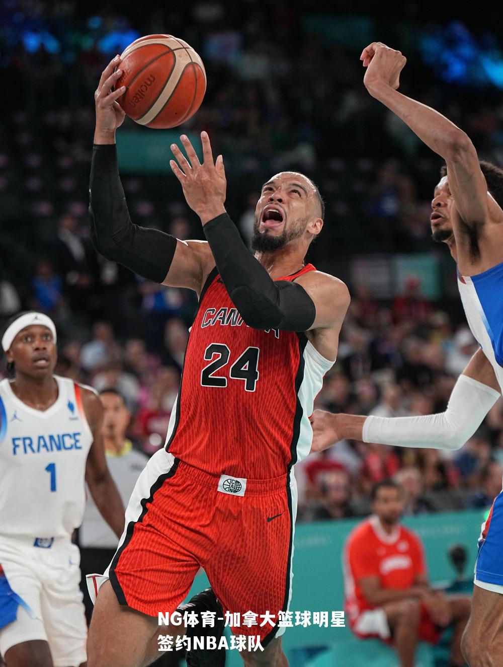 加拿大篮球明星签约NBA球队