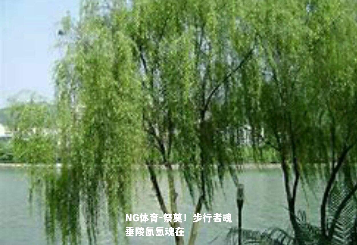 祭奠！步行者魂垂陵氤氲魂在