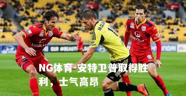 安特卫普取得胜利，士气高昂