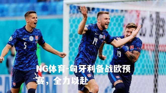 匈牙利备战欧预赛，全力以赴