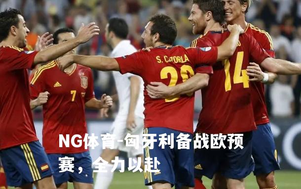匈牙利备战欧预赛，全力以赴