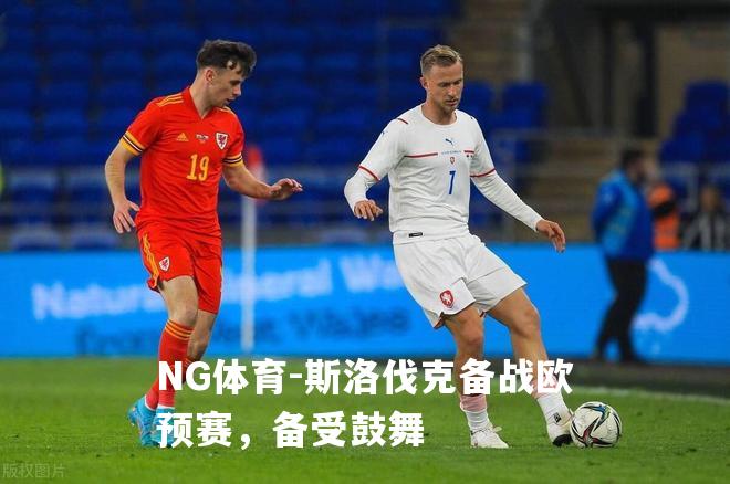 斯洛伐克备战欧预赛，备受鼓舞