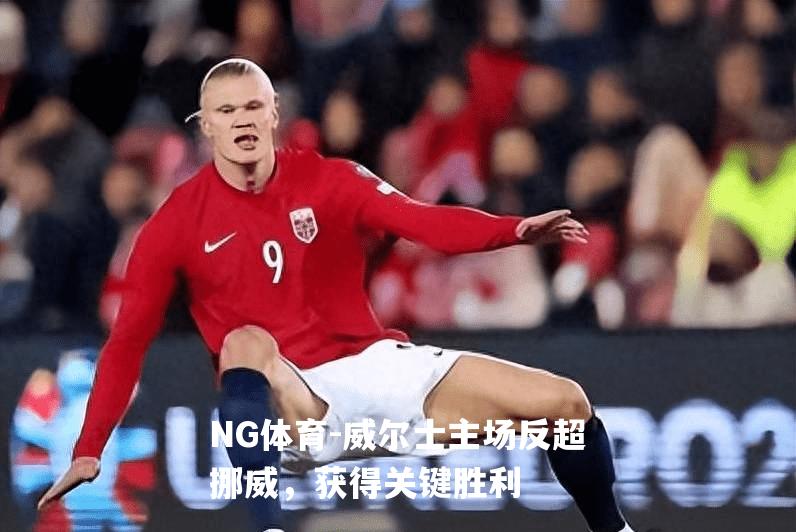 威尔士主场反超挪威，获得关键胜利