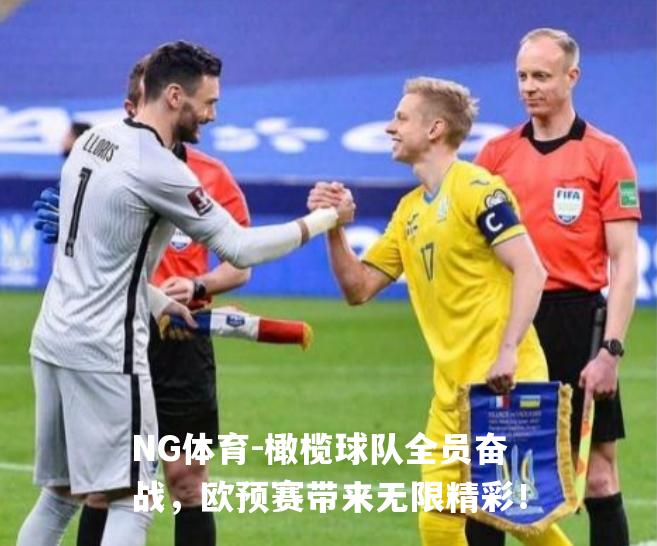 橄榄球队全员奋战，欧预赛带来无限精彩！