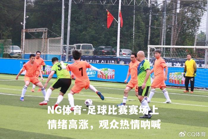 足球比赛赛场上情绪高涨，观众热情呐喊