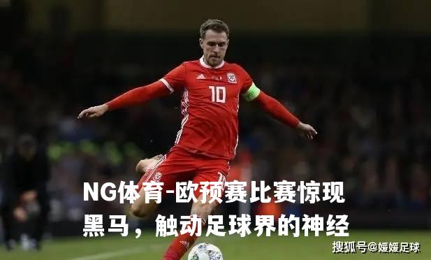 欧预赛比赛惊现黑马，触动足球界的神经