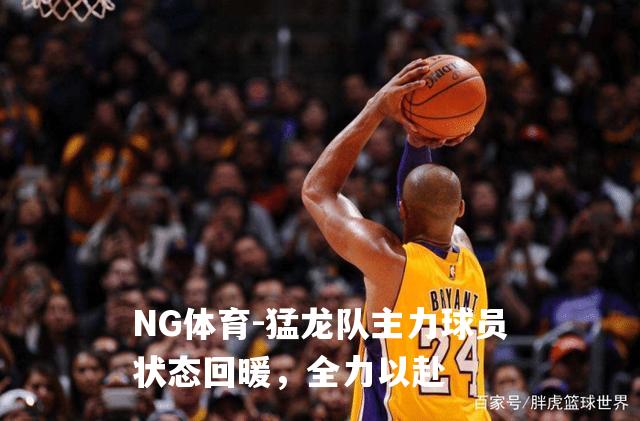 猛龙队主力球员状态回暖，全力以赴