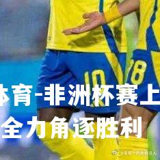 非洲杯赛上烽烟四起全力角逐胜利
