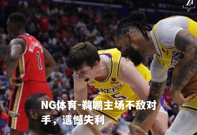 鹈鹕主场不敌对手，遗憾失利