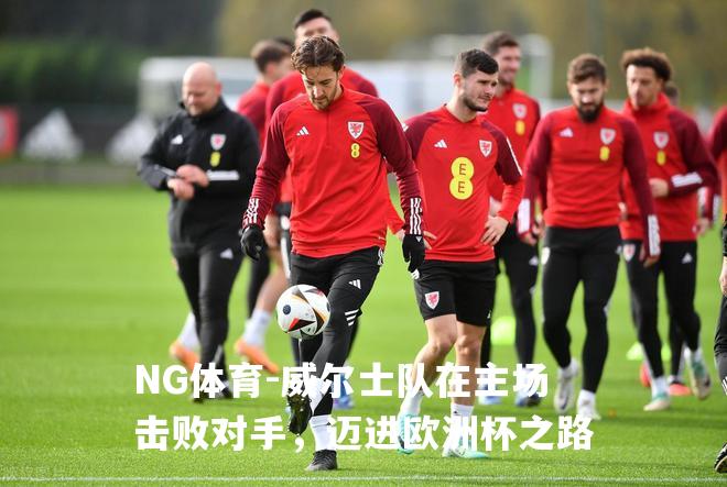 威尔士队在主场击败对手，迈进欧洲杯之路