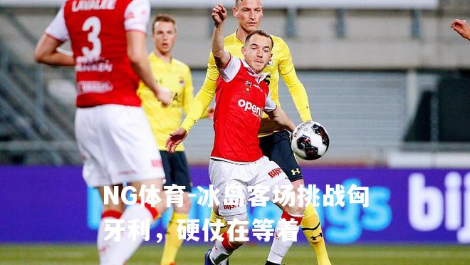 冰岛客场挑战匈牙利，硬仗在等着