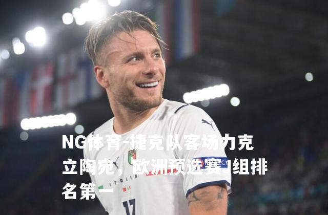 捷克队客场力克立陶宛，欧洲预选赛J组排名第一