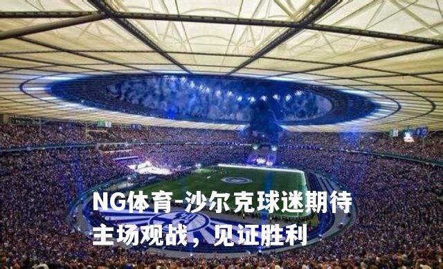 沙尔克球迷期待主场观战，见证胜利