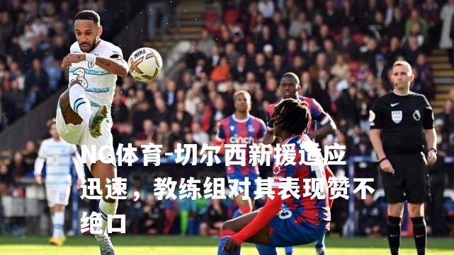 切尔西新援适应迅速，教练组对其表现赞不绝口