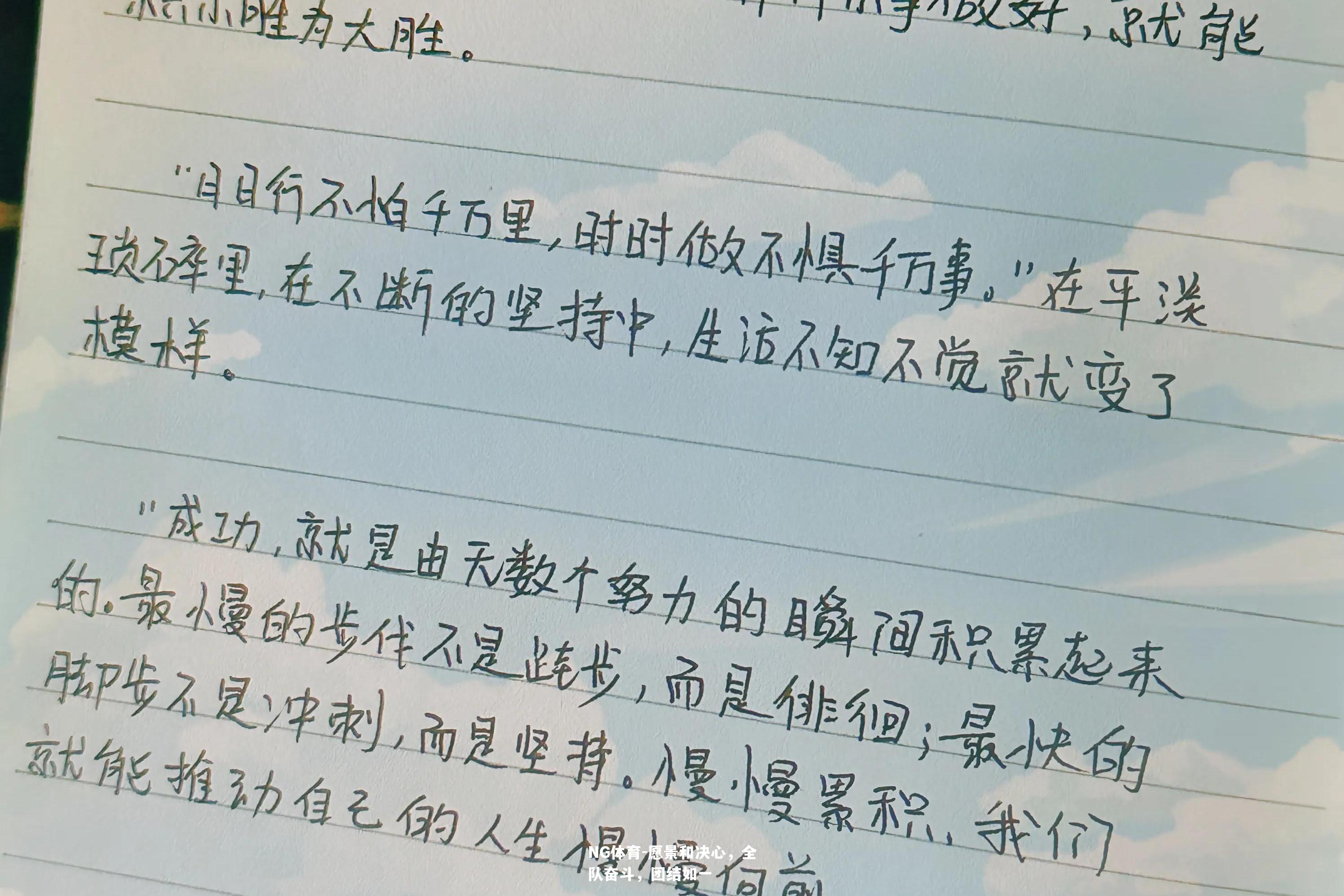 愿景和决心，全队奋斗，团结如一