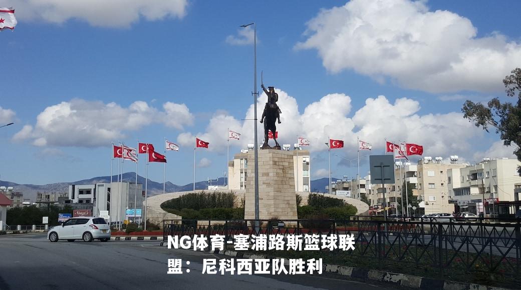 塞浦路斯篮球联盟：尼科西亚队胜利