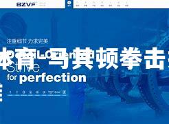 马其顿拳击技压群雄
