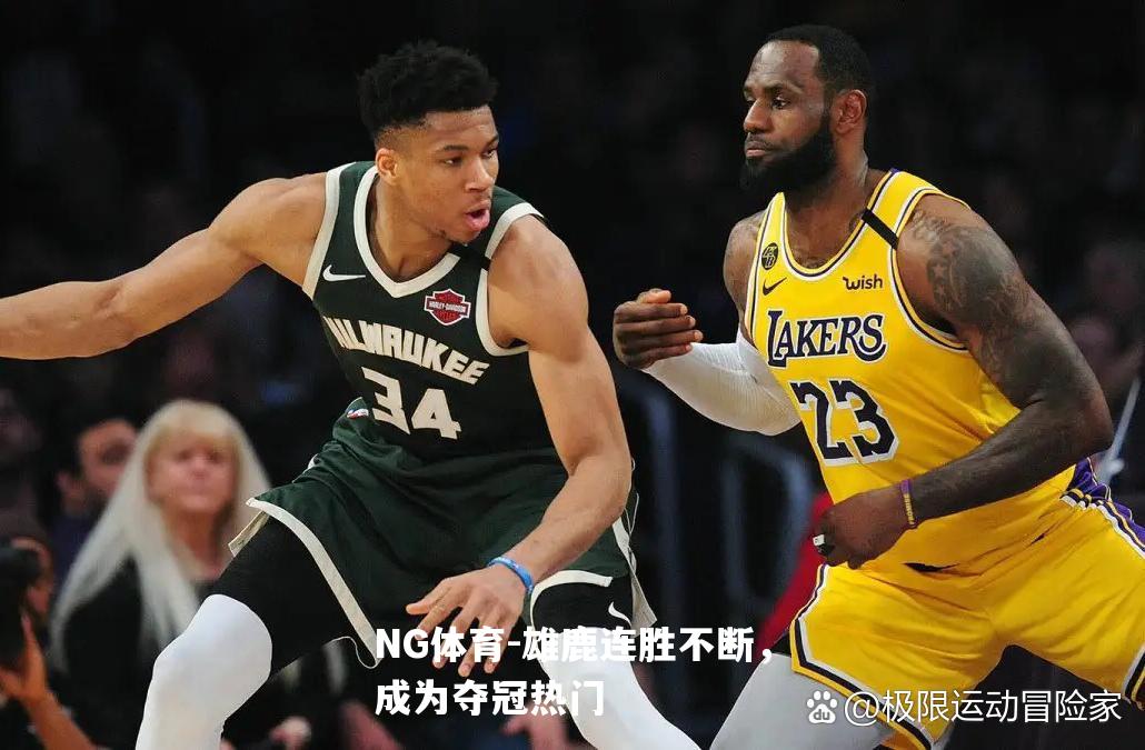 雄鹿连胜不断，成为夺冠热门